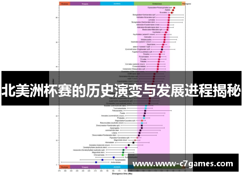 北美洲杯赛的历史演变与发展进程揭秘
