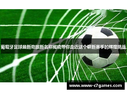 葡萄牙足球最新劲旅新名称揭晓带你走近这个崭新赛季的辉煌挑战 葡萄牙足球最新劲旅新名称揭晓带你走近这个崭新赛季的辉煌挑战